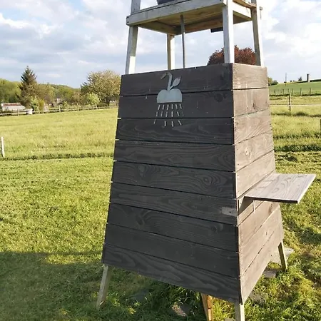 Detent-insolite * Aubigne-Racan